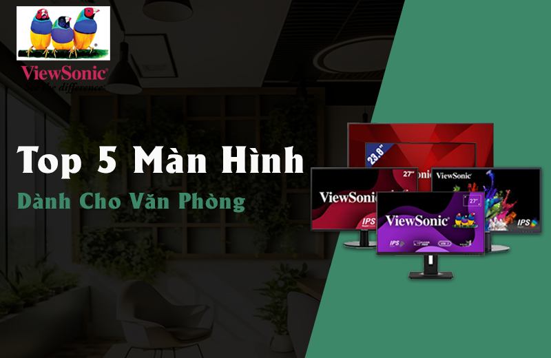 Top 5 màn hình Viewsonic cho dân văn phòng